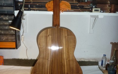 Guayubira guitar